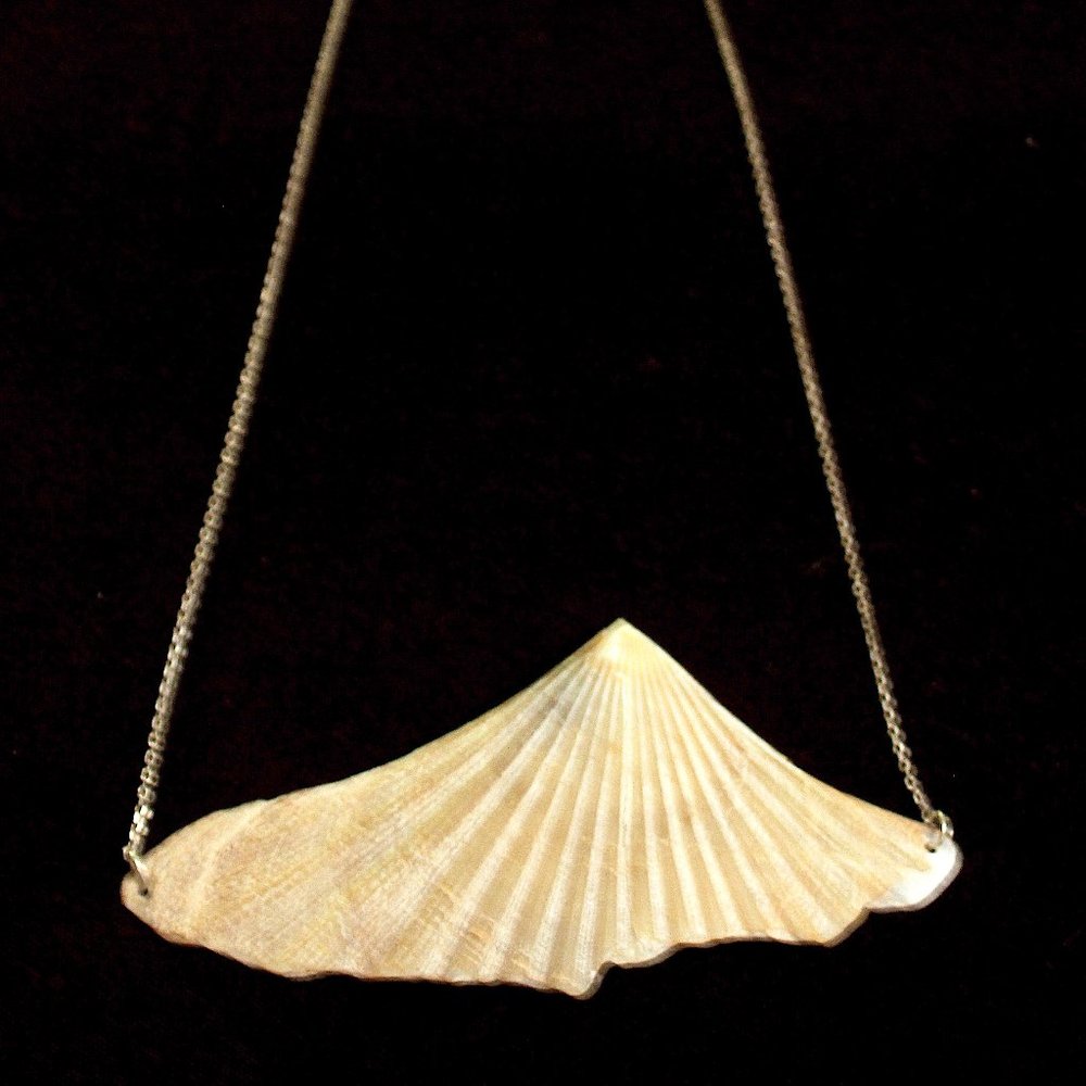 Sea Shell Necklace with Sterling Silver Chain